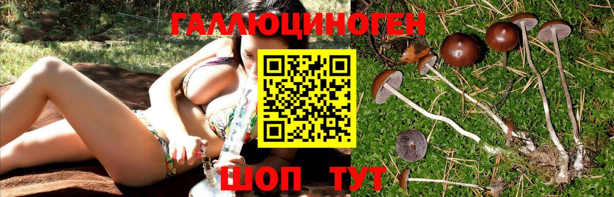 Псилоцибиновые грибы GOLDEN TEACHER Качканар
