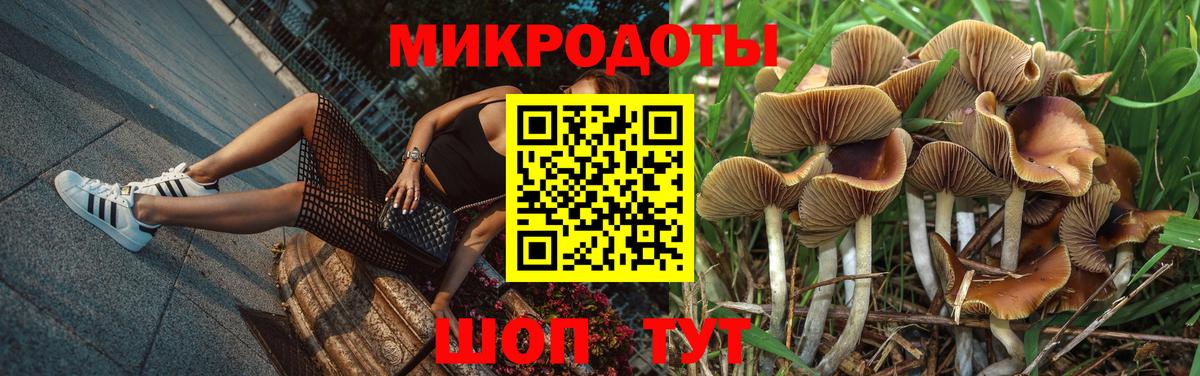 Псилоцибиновые грибы мухоморы  Вход с VPN  Галлюциногенные грибы Psilocybine cubensis  Качканар 